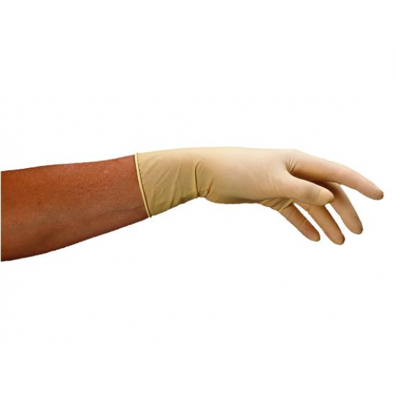 Gants latex non poudrés - Boite de 100