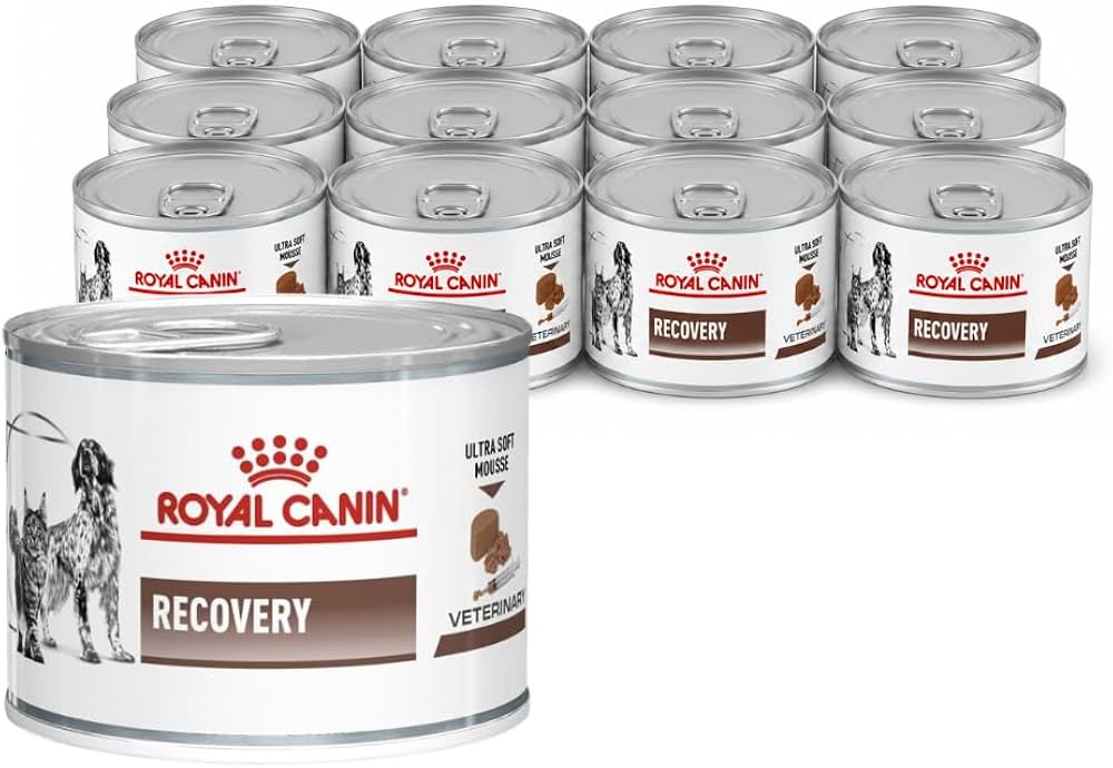 Royal Canin Vdiet Dog/Cat Recovery - 12 x 195 g- Royal Canin Veterinay Diet - Image 2