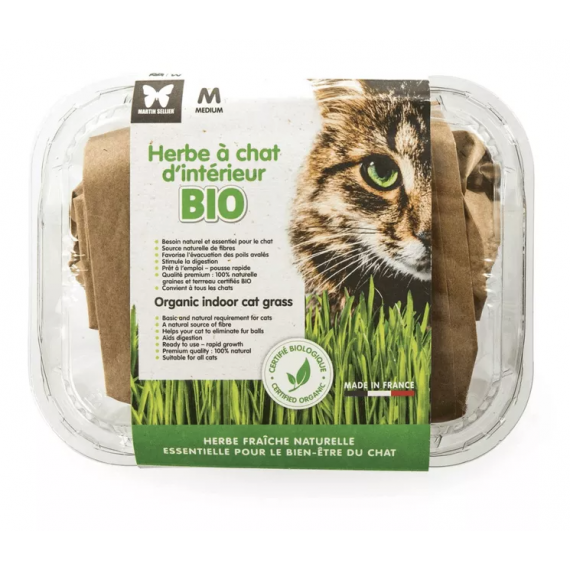 Barquette Herbe à chat Bio à semer - Martin Sellier