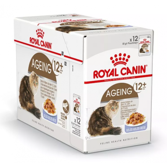 Feline Nutrition Ageing +12 "en gelée" - Royal Canin