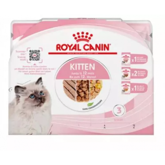Multipack Kitten humide - Royal Canin