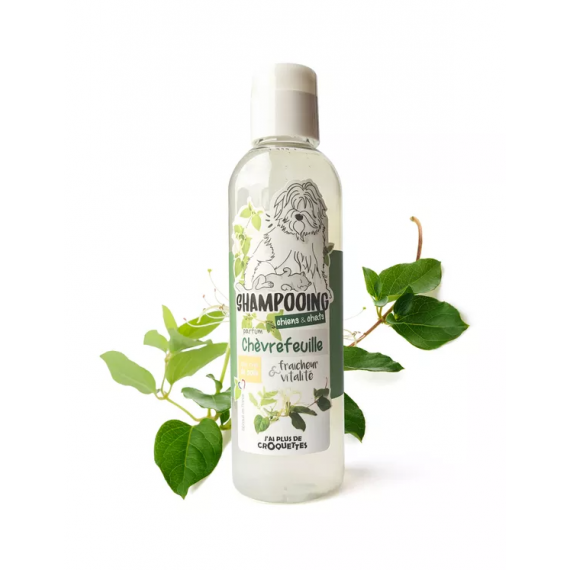 Shampooing Chèvrefeuille pour chiens et chats - J'ai plus de croquettes