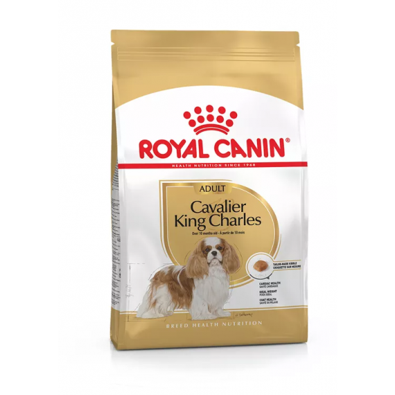 Cavalier King Charles - Royal Canin