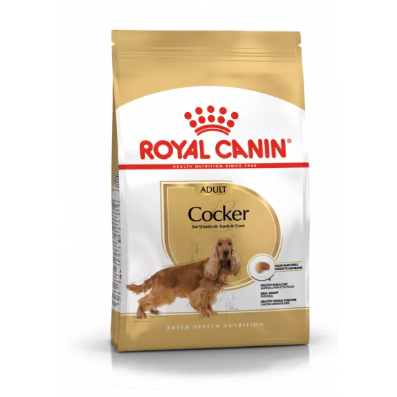 Cocker - Royal Canin