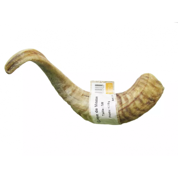 Corne de mouton - Bubimex