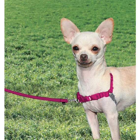 Harnais Easy Walk framboise - Premier / Petsafe