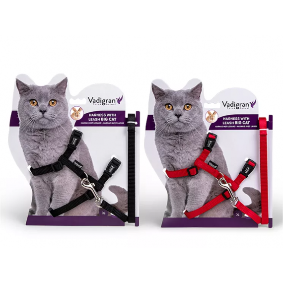 Harnais + laisse pour grand chat "Classic" - Vadigran