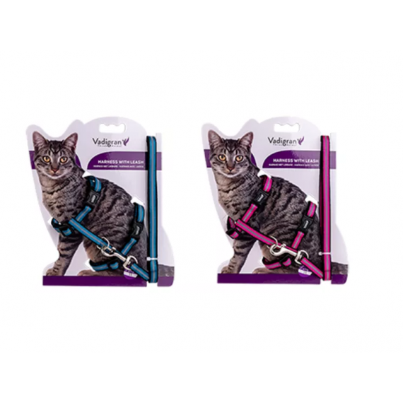 Kit chat harnais + laisse Reflect - Vadigran