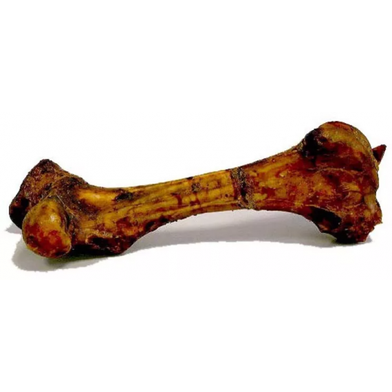 Os de Boeuf "Mammouth" - 45 cm