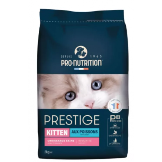Prestige Chat kitten - Flatazor