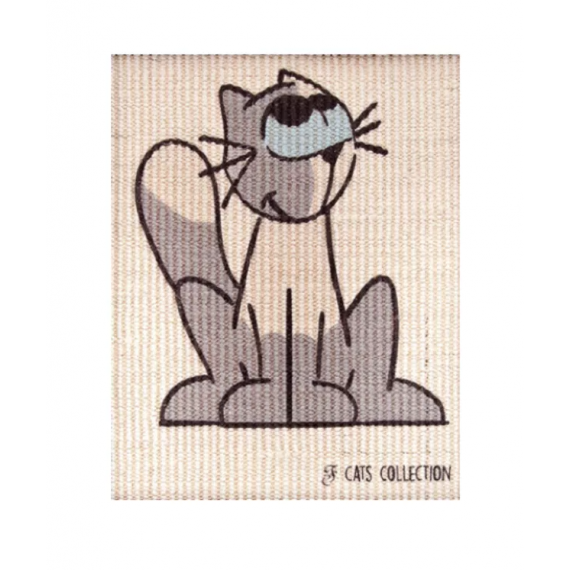Toile de remplacement à gratter - Ferribiella
